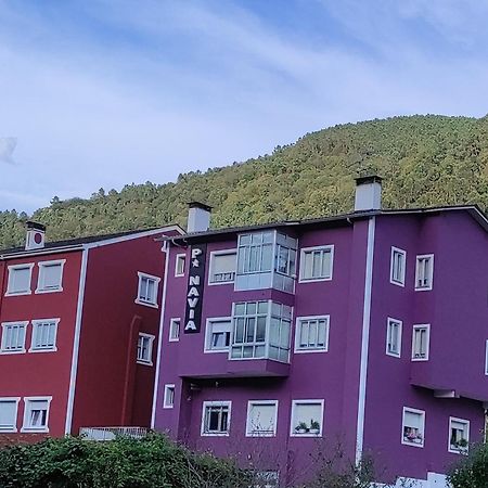 Pension Navia A Pontenova Ngoại thất bức ảnh